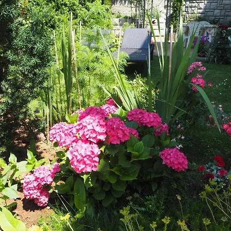 Apartmán Maria's Place